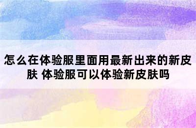 怎么在体验服里面用最新出来的新皮肤 体验服可以体验新皮肤吗